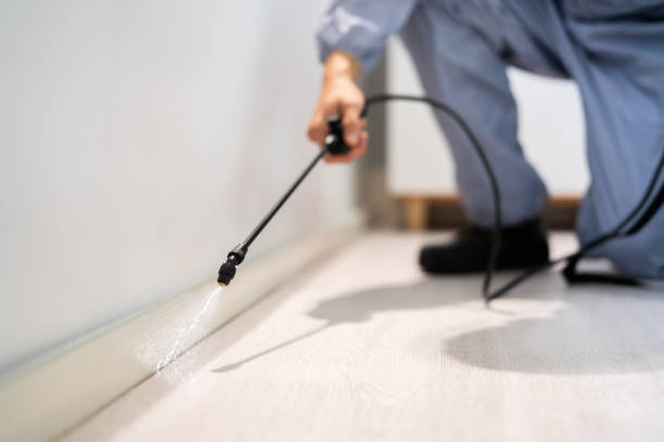 Bed Bug Pre-Treatment Preparation Assessment in Colwich