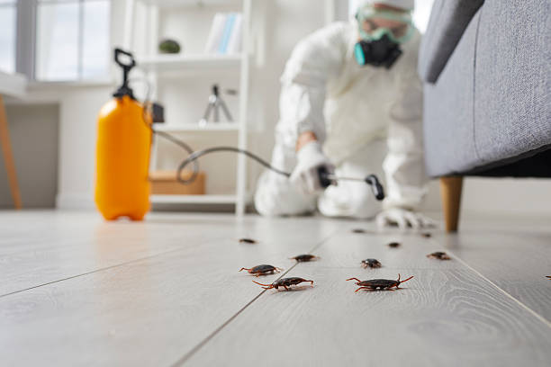 Post-Treatment Bed Bug Interceptor Monitoring in Colwich